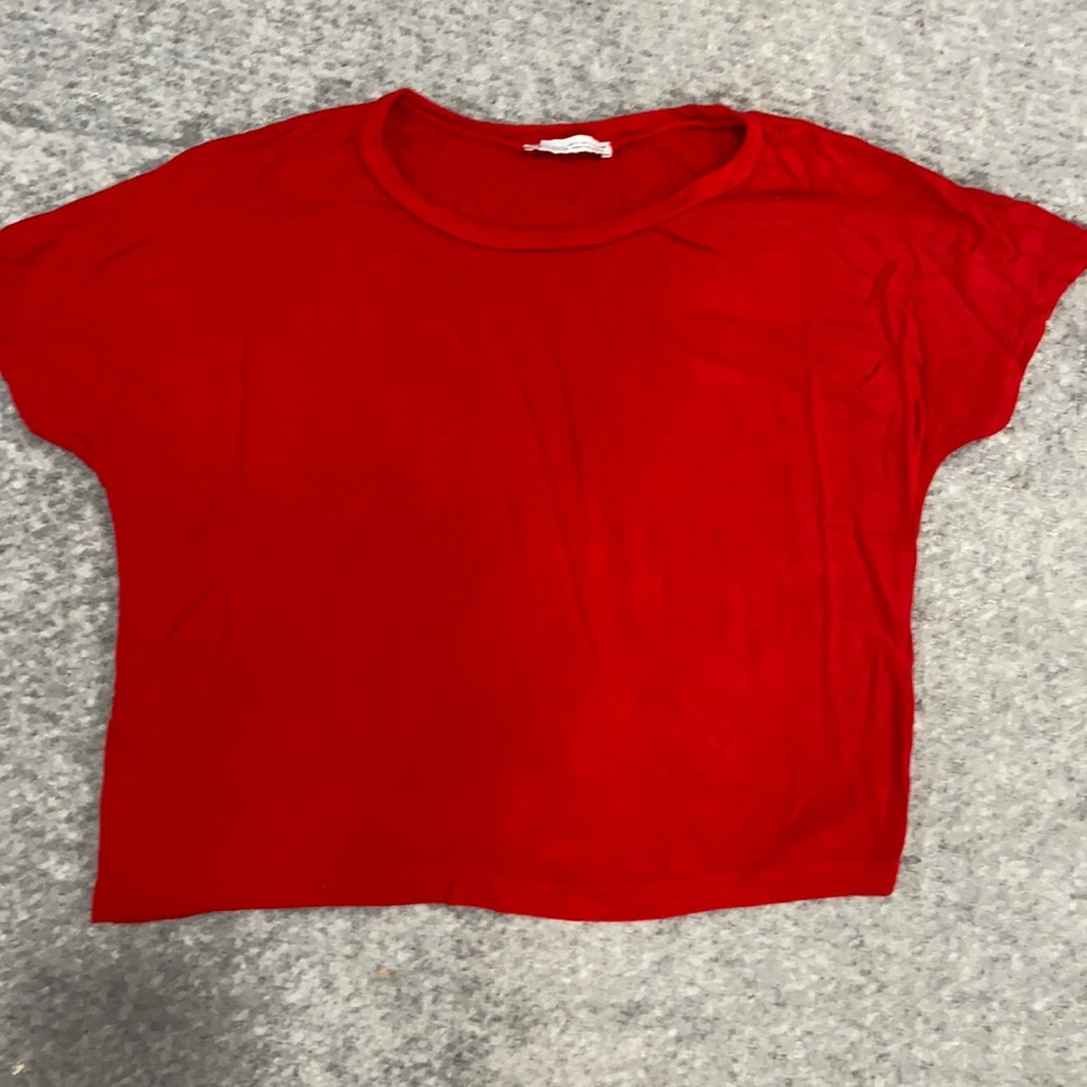 Zara crop top